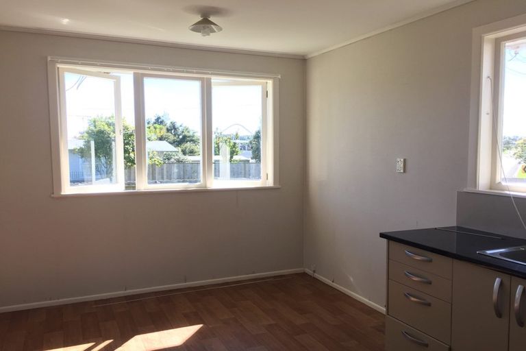 Photo of property in 38 Valonia Street, New Windsor, Auckland, 0600