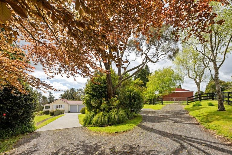 Photo of property in 567 Maungakawa Road, Te Miro, Cambridge, 3496