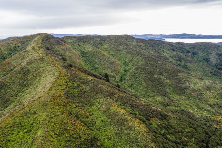 Photo of property in 828 Coast Road, Wainuiomata Coast, Lower Hutt, 5373