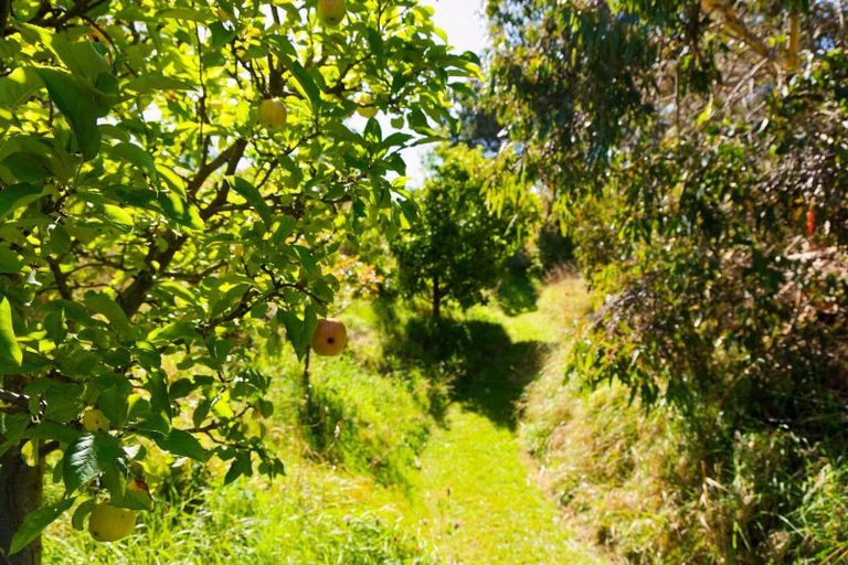 Photo of property in 317 Caseys Road, Blind River, Seddon, 7285