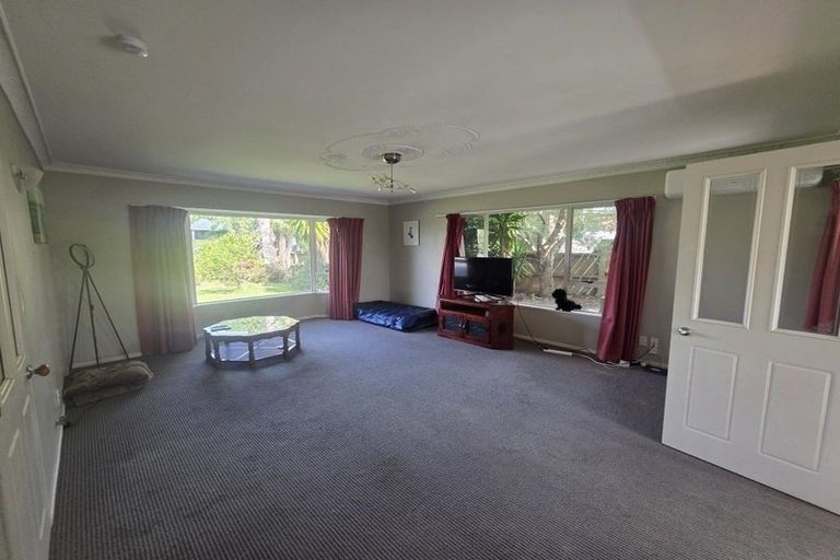 Photo of property in 43 Bayfair Drive, Mount Maunganui, 3116