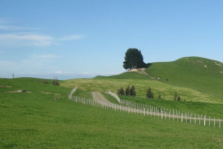 Photo of property in 183a Smith Road, Dannevirke, 4978