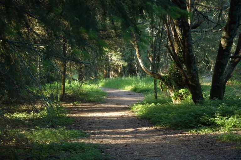 Photo of property in 10 Lancewood Way, Kinloch, Taupo, 3377