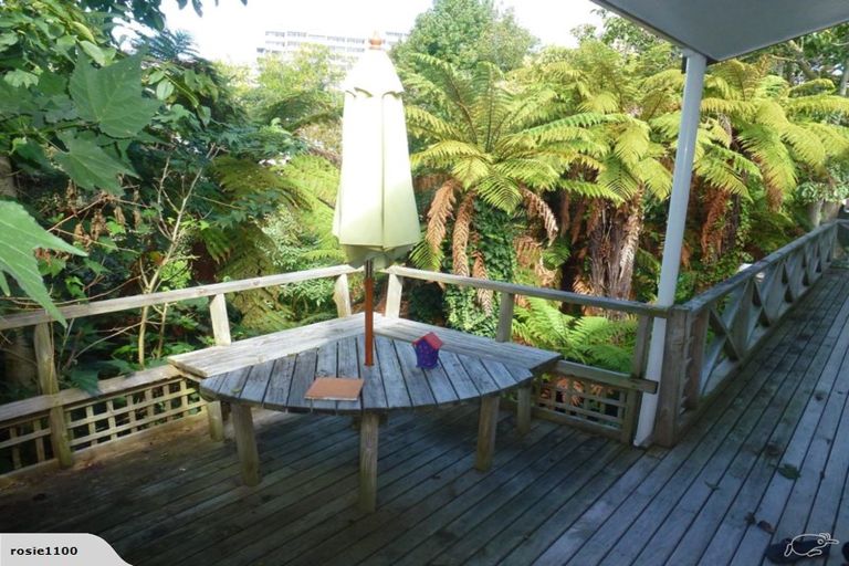 Photo of property in 13 Horne Street, Hamilton Central, Hamilton, 3204