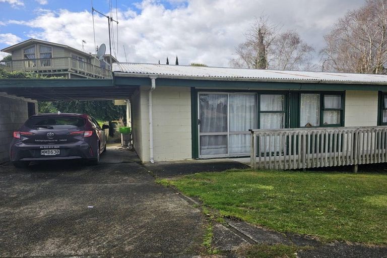 Photo of property in 105 Lake Crescent, Hamilton Lake, Hamilton, 3204