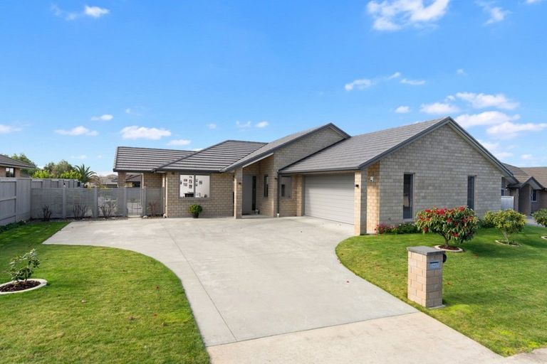 Photo of property in 101 Stirling Drive, Morrinsville, 3300