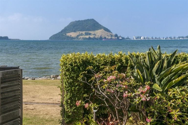 Photo of property in 71 Kulim Avenue, Otumoetai, Tauranga, 3110