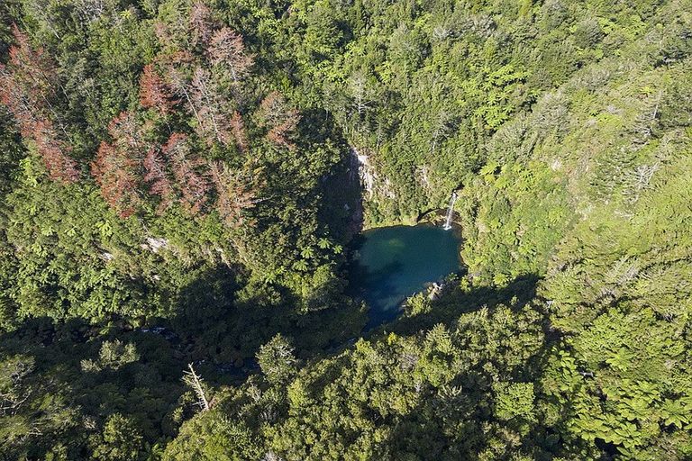 Photo of property in 24 Sarona Park Drive, Omanawa, 3171