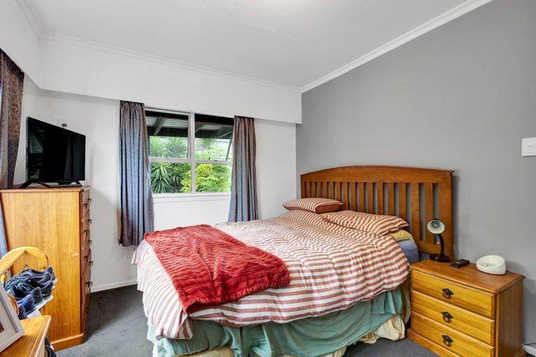 Photo of property in 113 Lemon Street, New Plymouth, 4312