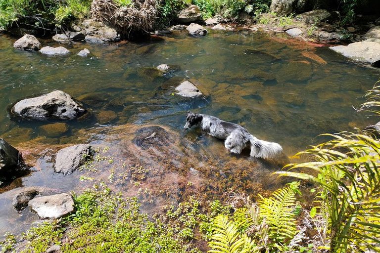 Photo of property in 62c Purerua Road, Kerikeri, 0294