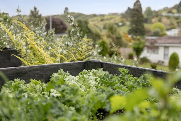 Photo of property in 46 Waitaha Road, Welcome Bay, Tauranga, 3112