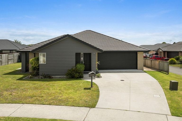 Photo of property in 8 Eastbank Drive, Katikati, 3129