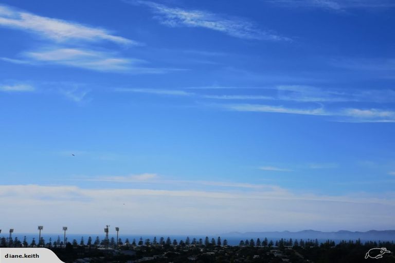 Photo of property in 22 Havelock Road, Hospital Hill, Napier, 4110