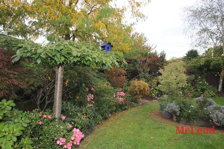 Photo of property in 53 Mcmurdo Street, Tinwald, Ashburton, 7700