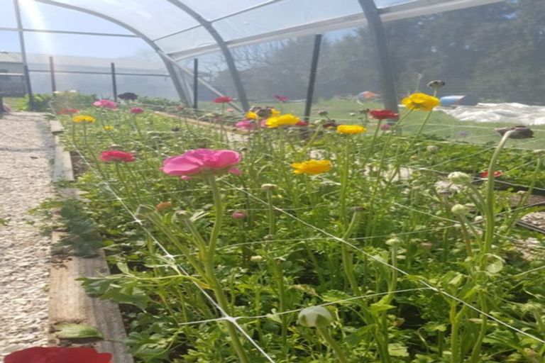 Photo of property in 426 Te Rahu Road, Poroporo, Whakatane, 3192