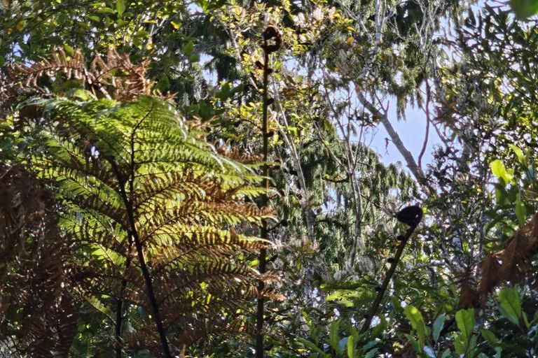 Photo of property in 215 Clifton Road, Kaiata, Greymouth, 7805