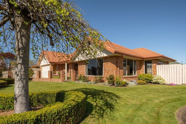 Photo of property in 3 The Willows, Springlands, Blenheim, 7201