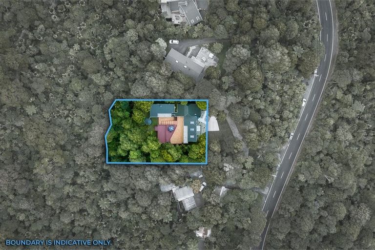 Photo of property in 719 Scenic Drive, Henderson Valley, Auckland, 0612