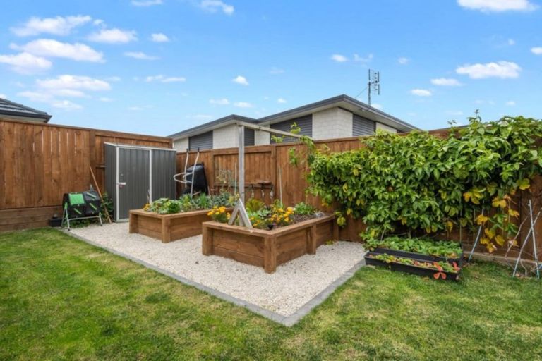 Photo of property in 118 Te Ranga Memorial Drive, Pyes Pa, Tauranga, 3112