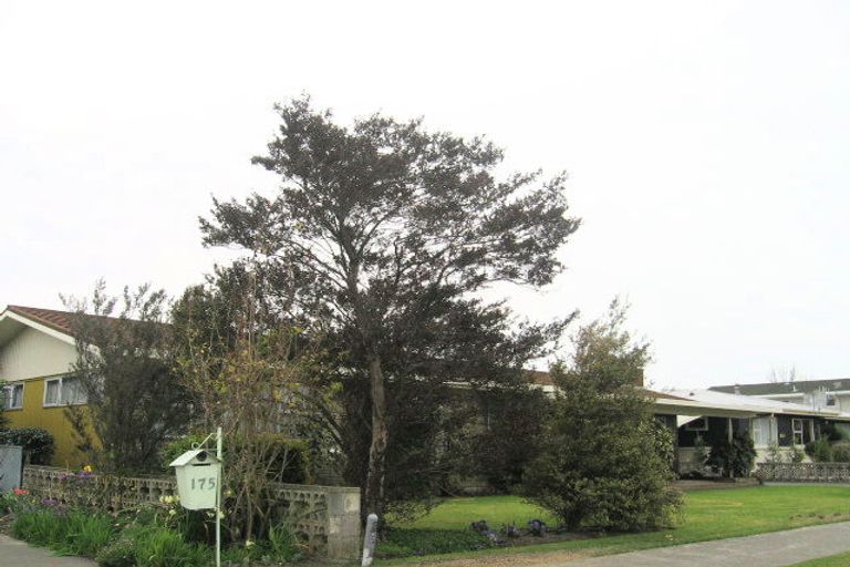 Photo of property in 173 Gloucester Street, Taradale, Napier, 4112