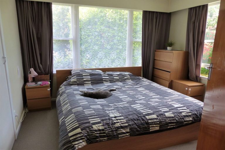 Photo of property in 905 Rangiora Street, Mahora, Hastings, 4120