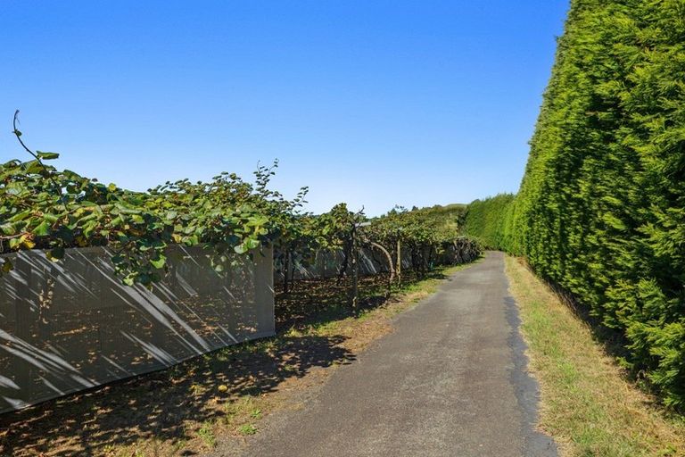 Photo of property in 31 Clark Cross Road, Otara, Opotiki, 3197