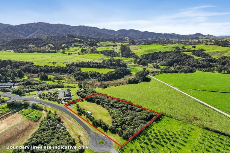 Photo of property in 55 Pigeon Berry Lane, Mangawhai, 0573