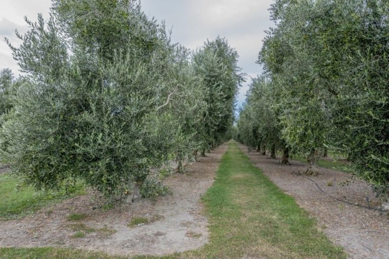 Photo of property in 22 Lethbridge Street, Feilding, 4702