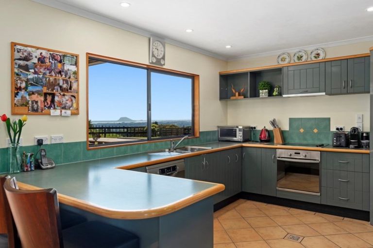 Photo of property in 198 Whakamarama Road, Whakamarama, Tauranga, 3179