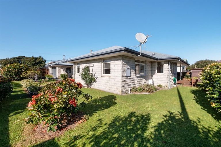 Photo of property in 177 Cameron Road, Te Puke, 3119