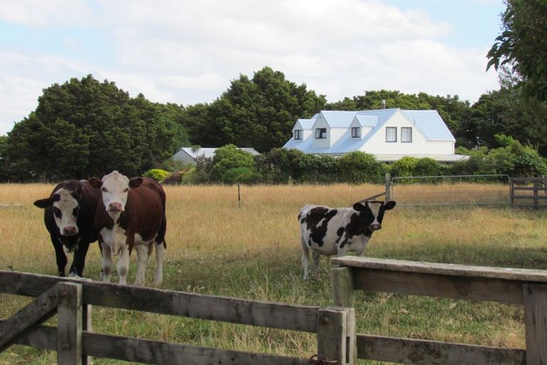 Photo of property in 97 Tararua Drive, Upper Plain, Masterton, 5888