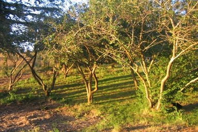 Photo of property in 53 Stornoway Street, Karitane, Waikouaiti, 9471