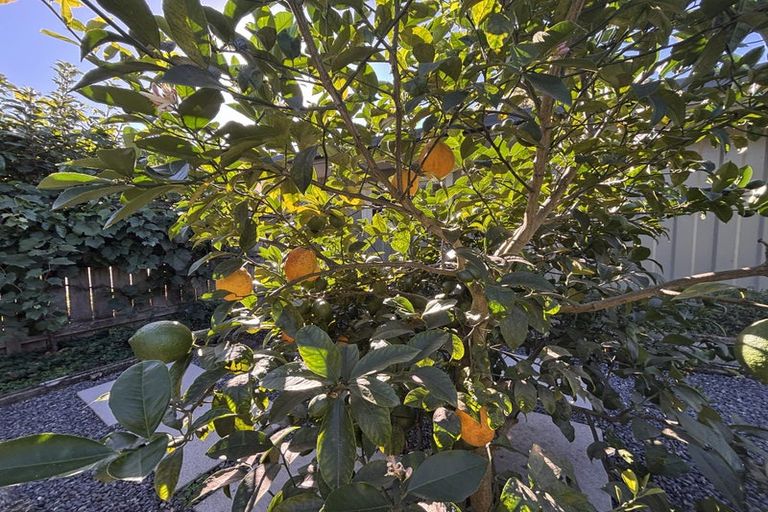 Photo of property in 291 Langlands Road, Okoroire, Tirau, 3484