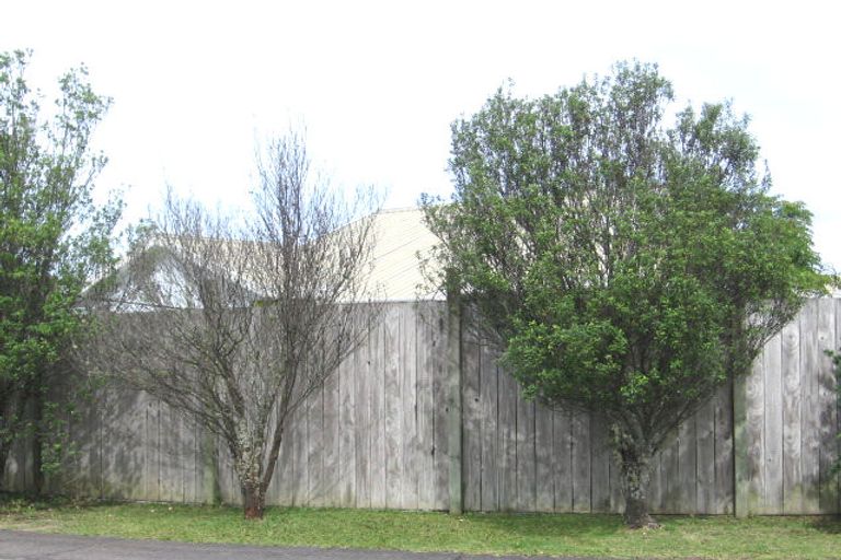 Photo of property in 17 Miriam Corban Heights, Henderson, Auckland, 0612