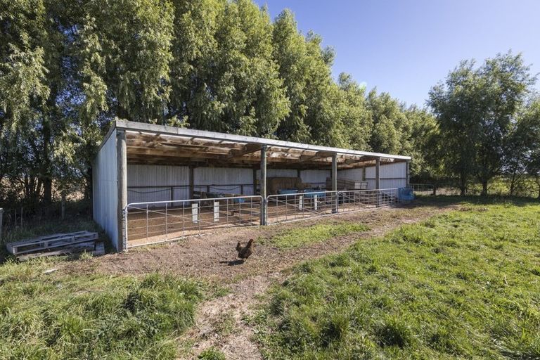 Photo of property in 707 Aranui Road, Kairanga, Palmerston North, 4475