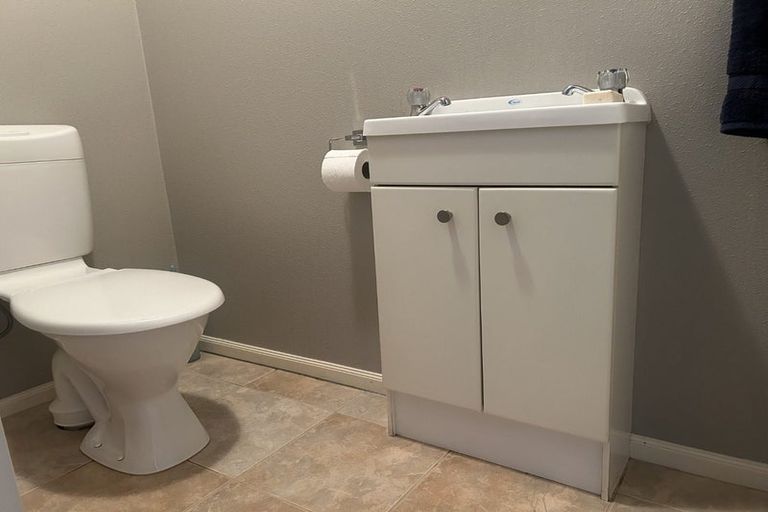 Photo of property in 6 Franklin Avenue, Hokowhitu, Palmerston North, 4410