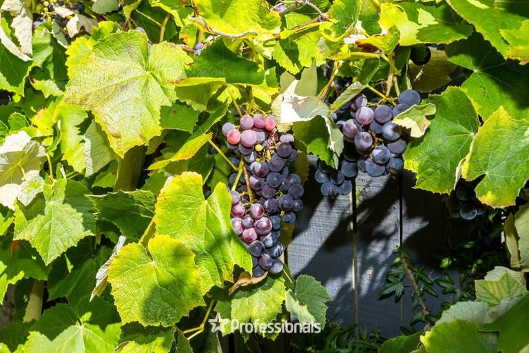 Photo of property in 26a Ararino Street, Trentham, Upper Hutt, 5018