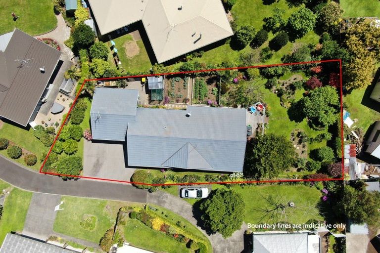 Photo of property in 9 Grosvenor Place, Katikati, 3129