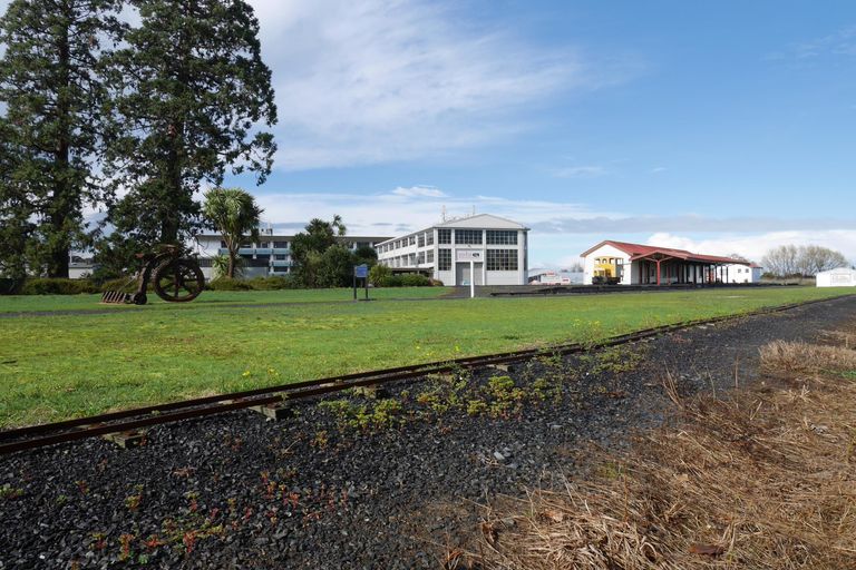 Photo of property in 17 Millar Street, Te Aroha, 3320