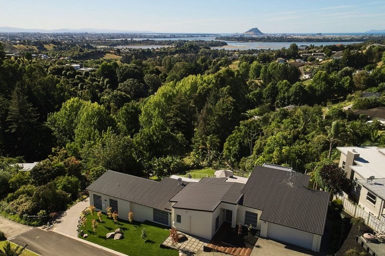 Photo of property in 38 Holcombrooke Lane, Welcome Bay, Tauranga, 3175