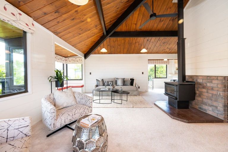 Photo of property in 80 Kopanga Road, Havelock North, 4130
