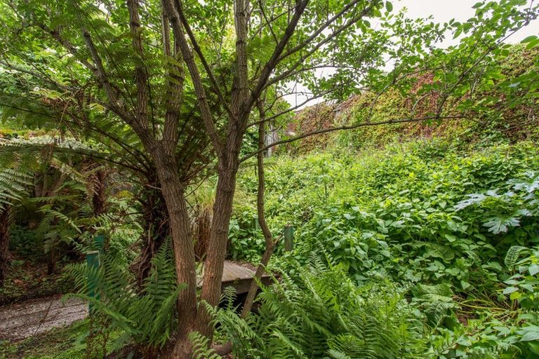 Photo of property in 116 Ruskin Street, Addington, Christchurch, 8024