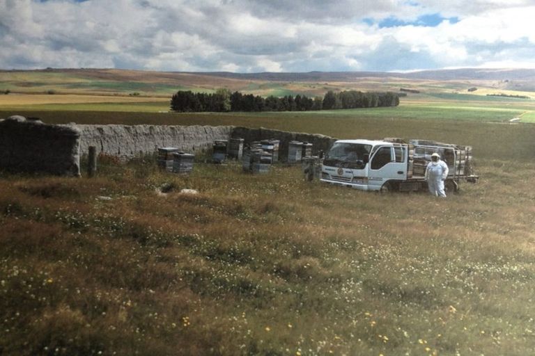 Photo of property in 7189 Wedderburn-becks Road, Wedderburn, Ranfurly, 9395