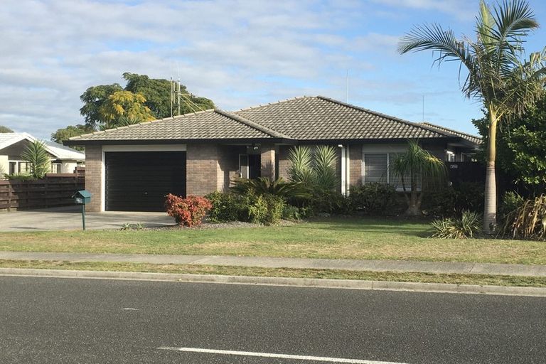 Photo of property in 11b Hibiscus Avenue, Mount Maunganui, 3116