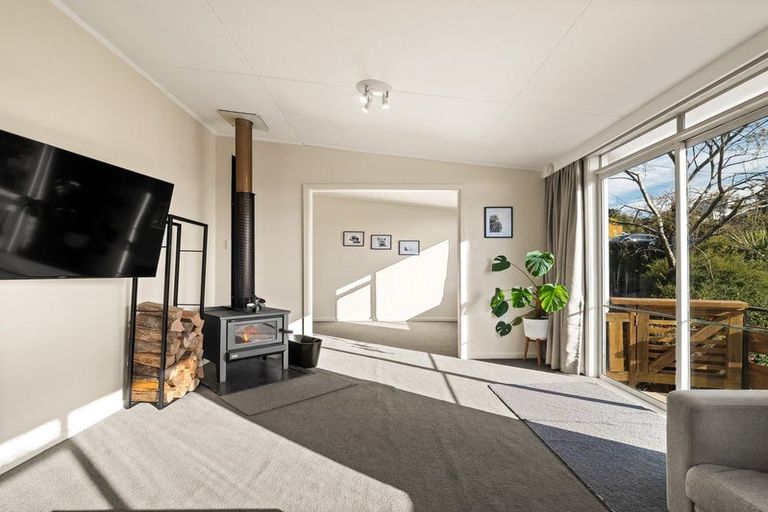 Photo of property in 163 Sidey Street, Calton Hill, Dunedin, 9012