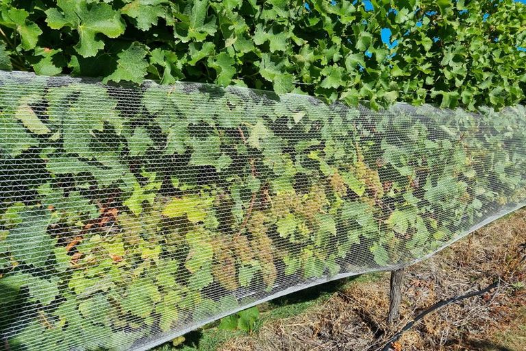 Photo of property in 344 Jones Road, Grovetown, Blenheim, 7273