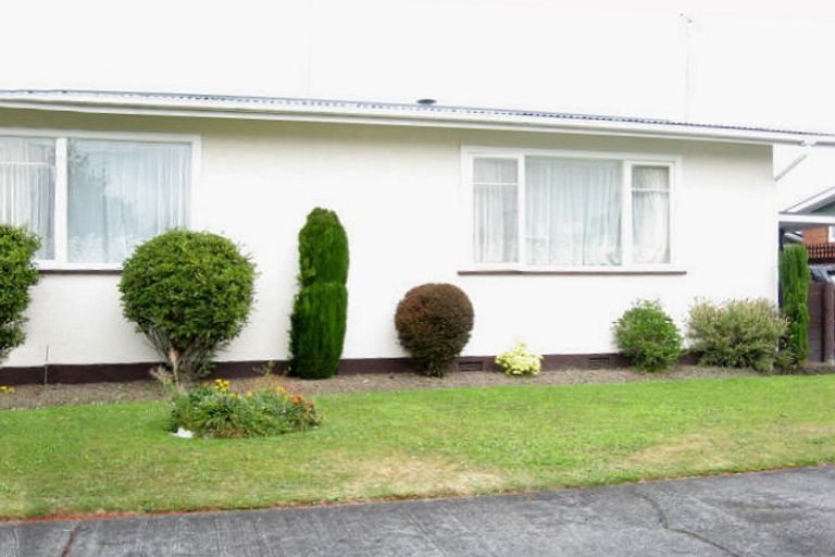 Photo of property in 19 Blenheim Place, Feilding, 4702