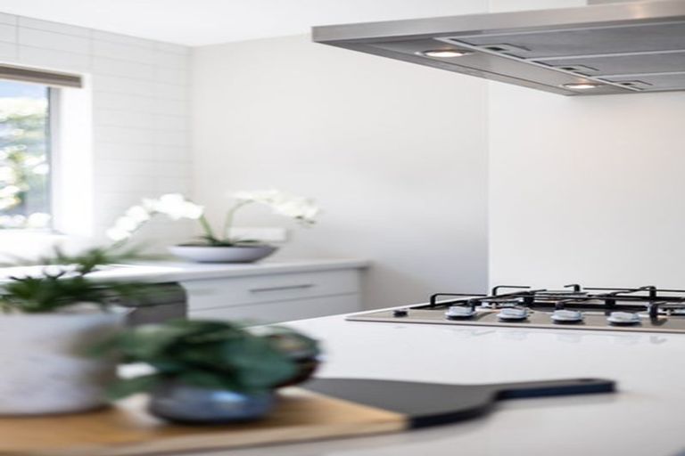 Photo of property in 23 Henry Street, Maori Hill, Dunedin, 9010