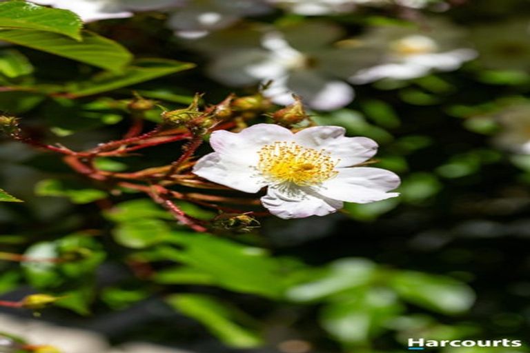 Photo of property in 1380 Moutere Highway, Upper Moutere, 7173