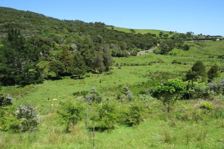 Photo of property in 880 Colville Road, Amodeo Bay, Coromandel, 3584